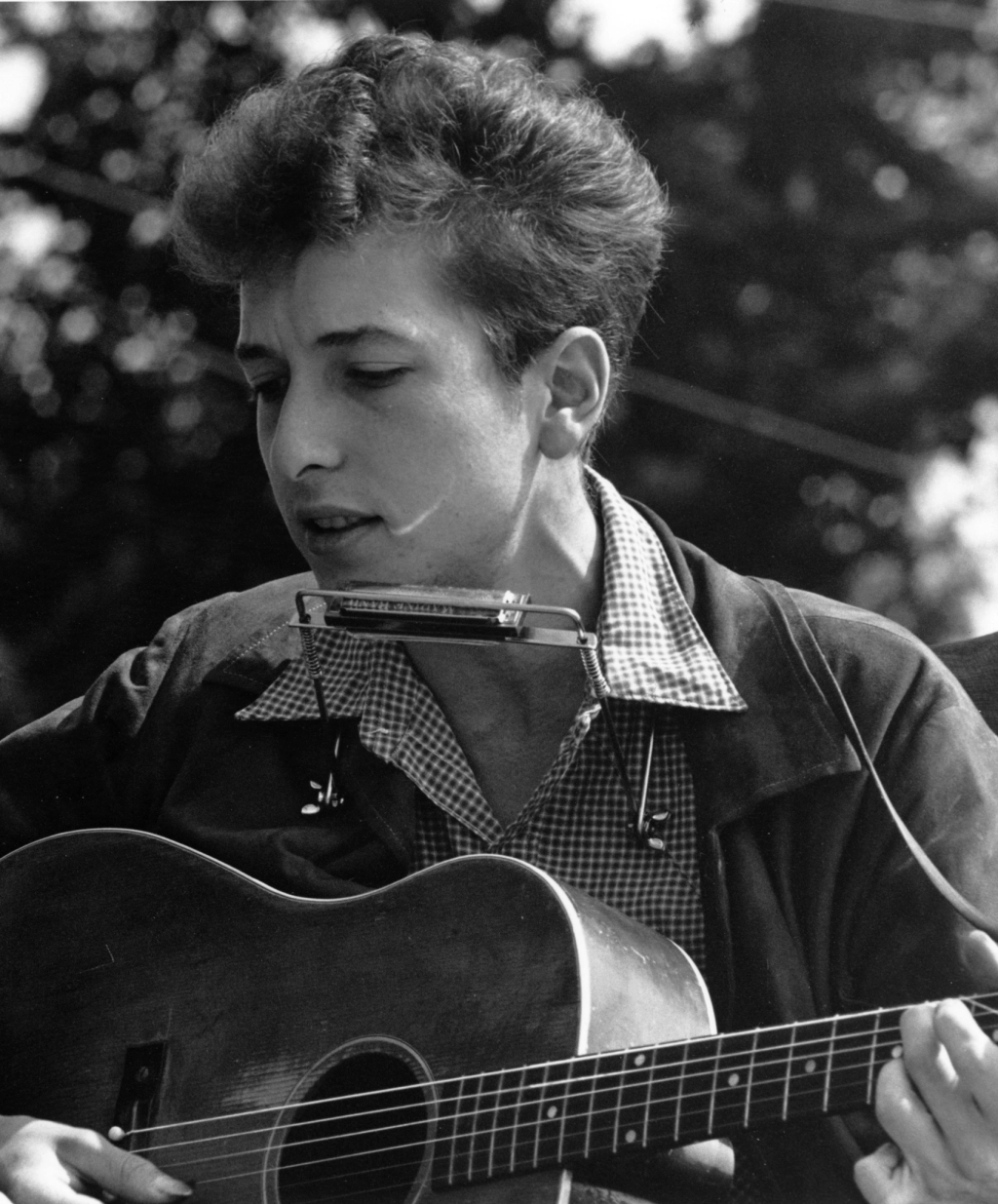 bob dylan crop